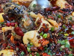 -黑竹香鸡(营和巷店)