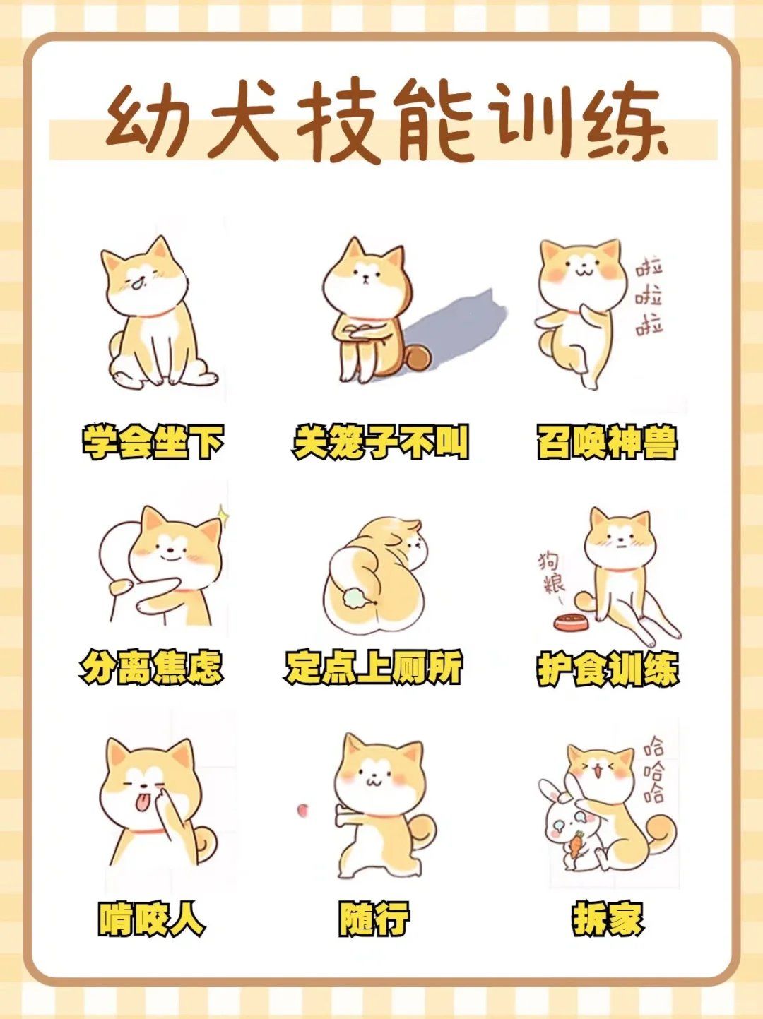 幼犬技能训练|新手养狗必看6015