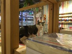 -小时光咖啡馆(开森度假森林店)