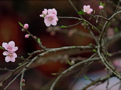 -维乐口腔医院(星海湾分院)