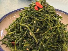 清香枸杞苗-国强手抓(西夏区店)
