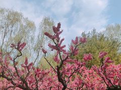 -黑龙潭风景区