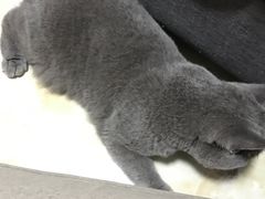 -广州保龄球馆(广州天河体育中心店)