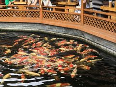 -香麒园·过桥米线·南湖雅宴