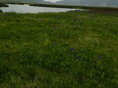 android_upload_pic-腾冲北海湿地