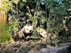 -天津自然博物馆