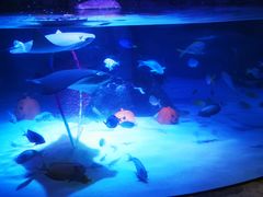 -沈阳海洋探索中心