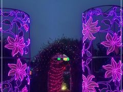 -上海杨姆庄园