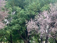-天鹅湖体育公园