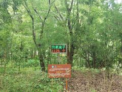-同里国家湿地公园