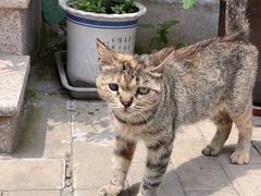 -康陵正德春饼宴26号