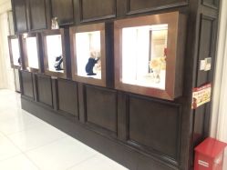 iphone_upload_pic-南京宝娜嫁衣婚纱礼服馆(中央路店)