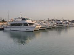 -日照世帆赛基地