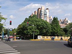 -大华梧桐墅大公馆