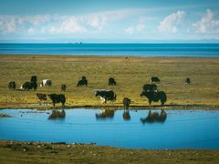 -青海湖国家重点风景名胜区