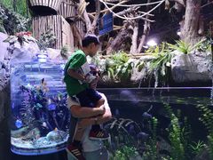 -迪拜水族馆及水下动物园