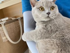 -宠福鑫康馨动物医院·骨科·眼科