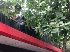 -宋家馄饨馆(八一公园店)