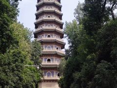 -灵谷景区
