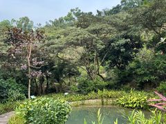 -石排湾郊野公园