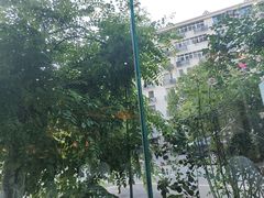 -雄楚国际大酒店-四季西餐厅