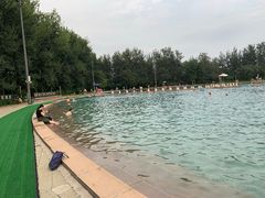 -柳浪游泳场