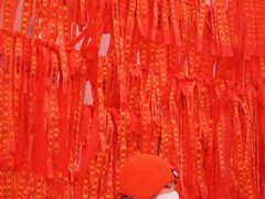 -北戴河集发农业梦想王国