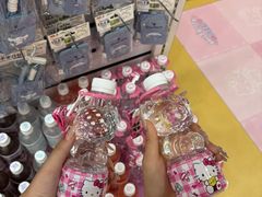 -安吉Hello Kitty乐园