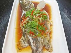 -大班家政月嫂育儿嫂(深圳NO.1店)