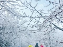 -南岳衡山风景名胜区-南岳大庙