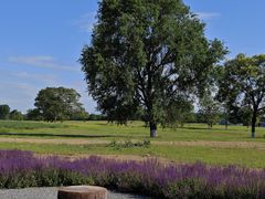 -汉长安城未央宫国家考古遗址公园