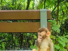 -重庆云阳龙缸景区