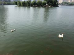 -迎泽公园