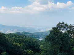 -广州市帽峰山景区