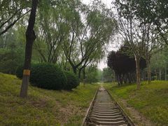 -永定河休闲森林公园