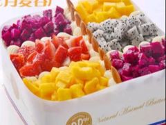 -维尔纳斯·生日蛋糕·动物奶油冰淇淋蛋糕(六里桥店)