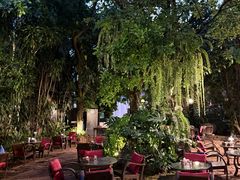 -Fern Forest Cafe