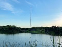 -福田红树林生态公园