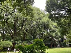 -上海宋庆龄故居纪念馆