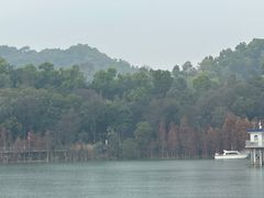 -中山市树木园