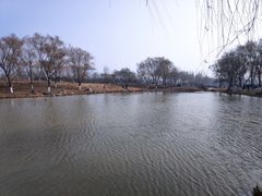 -西安浐灞国家湿地公园