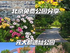 -元大都城垣遗址公园
