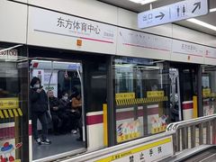 -东方体育中心(地铁站)