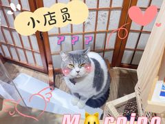 -解忧集市(北京路天河城店)