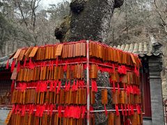-潭柘寺景区