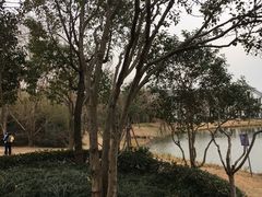 -上海长兴岛郊野公园