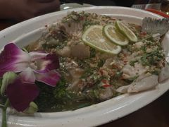 青柠蒸鱼-荷花泰菜(东方新天地店)