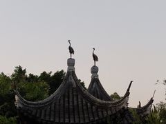 -南沙蒲洲花园