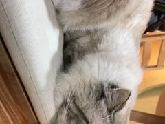 -白兔子密室(长寿路店)