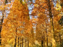 -宝岩生态观光园